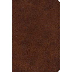 ESV Large Print Bible