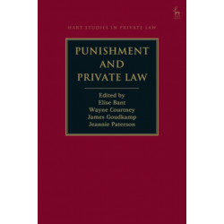 Punishment and Private Law