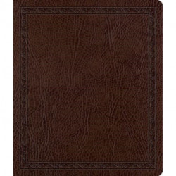 ESV Journaling Bible