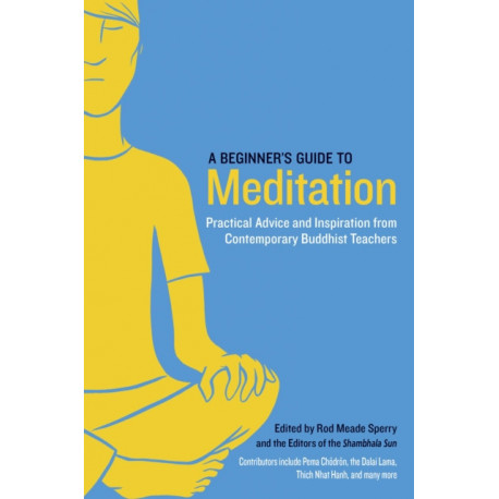 A Beginner's Guide to Meditation: Practical Advice and Inspiration from Contemporary Buddhist Teachers