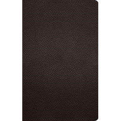 ESV Thinline Bible, Red Letter