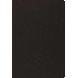 The Psalms, ESV (Top Grain Leather, Black)