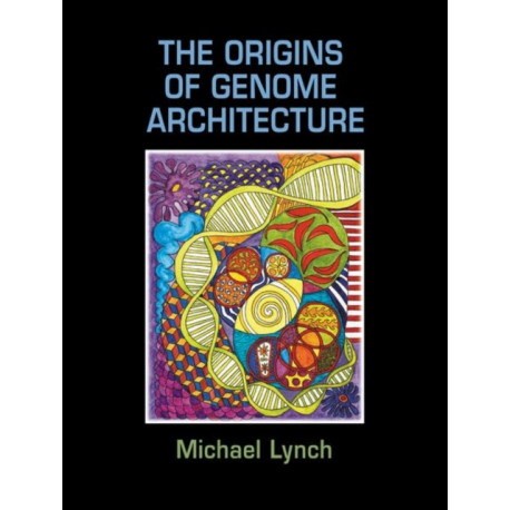 The Origins of Genome Architecture