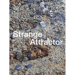 Strange Attractor