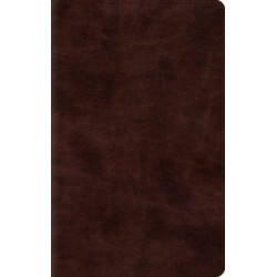 ESV Thinline Bible, Red Letter