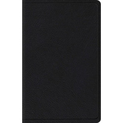 ESV Wide Margin Reference Bible, Red Letter