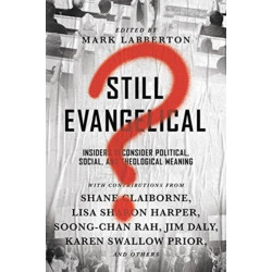 Still Evangelical? – Insiders Reconsider Political, Social, and Theological Meaning: Insiders Reconsider Political, Social, and Theological Meaning