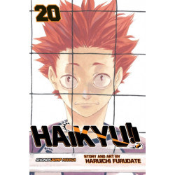 Haikyu!!, Vol. 20: Particular