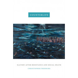 Counterlife: Slavery After Resistance and Social Death