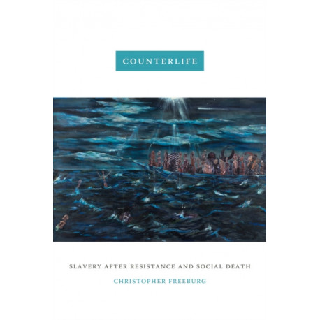 Counterlife: Slavery After Resistance and Social Death