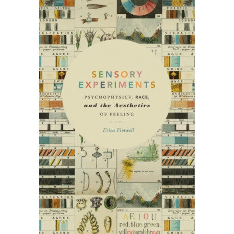 Sensory Experiments: Psychophysics, Race, and the Aesthetics of Feeling
