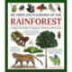 My First Encyclopedia of the Rainforest: A Great Big Book of Amazing Animals and Plants