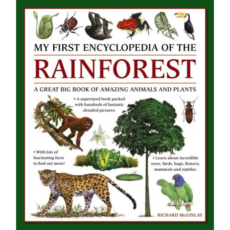 My First Encyclopedia of the Rainforest: A Great Big Book of Amazing Animals and Plants