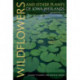 Wildflowers and Other Plants of Iowa Wetlands