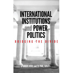 International Institutions and Power Politics: Bridging the Divide