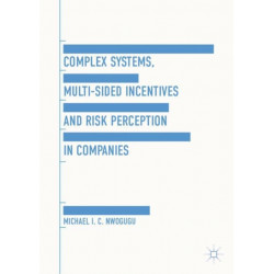 Complex Systems, Multi-Sided Incentives and Risk Perception in Companies