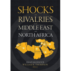 Shocks and Rivalries in the Middle East and North Africa