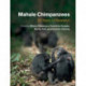 Mahale Chimpanzees: 50 Years of Research