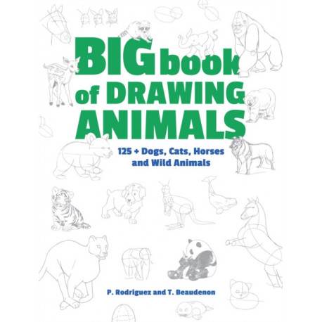 Big Book of Drawing Animals: 90+ Dogs, Cats, Horses and Wild Animals