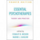 Essential Psychotherapies, Fourth Edition: Theory and Practice
