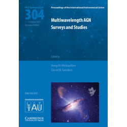Multiwavelength AGN Surveys and Studies (IAU S304)