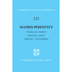 Matrix Positivity
