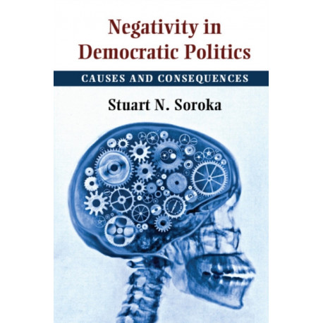 Negativity in Democratic Politics: Causes and Consequences