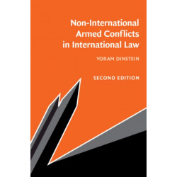 Non-International Armed Conflicts in International Law