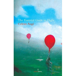 The Essential Guide to Flight