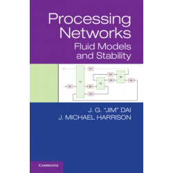 Processing Networks: Fluid Models and Stability