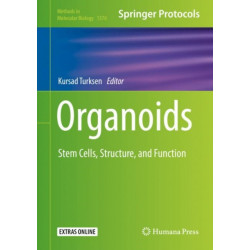 Organoids: Stem Cells, Structure, and Function