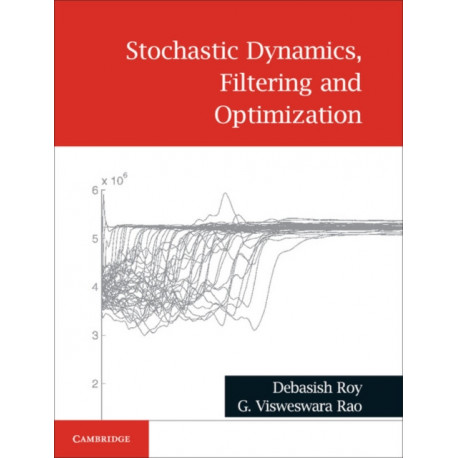 Stochastic Dynamics, Filtering and Optimization