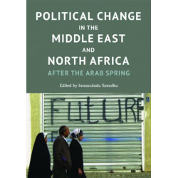Political Change in the Middle East and North Africa: After the Arab Spring