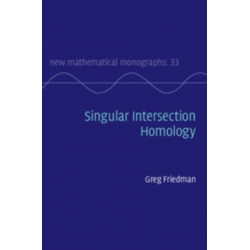 Singular Intersection Homology