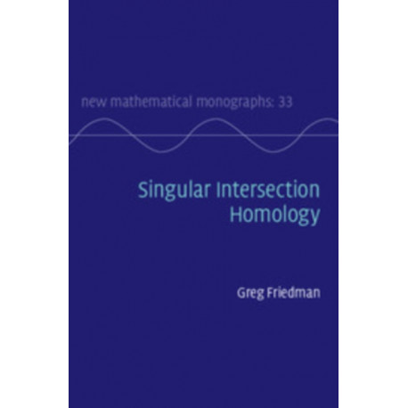 Singular Intersection Homology