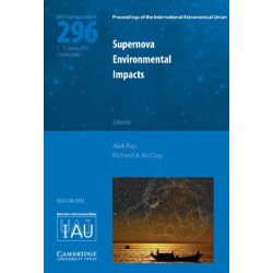 Supernova Environmental Impacts (IAU S296)