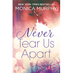 Never Tear Us Apart: Never Series 1