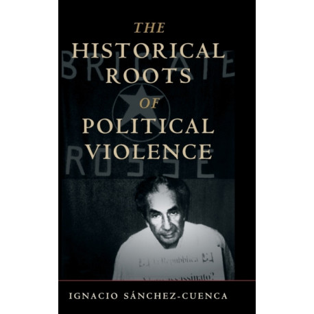 The Historical Roots of Political Violence: Revolutionary Terrorism in Affluent Countries