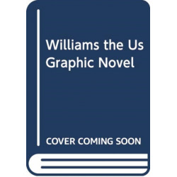 The US Graphic Novel