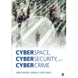 Cyberspace, Cybersecurity, and Cybercrime