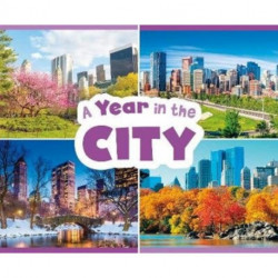 A Year in the City