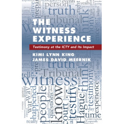 The Witness Experience: Testimony at the ICTY and Its Impact