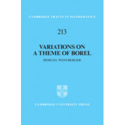 Variations on a Theme of Borel: An Essay on the Role of the Fundamental Group in Rigidity