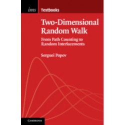 Two-Dimensional Random Walk: From Path Counting to Random Interlacements