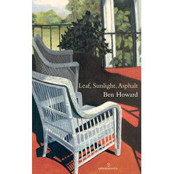 Leaf, Sunlight, Asphalt