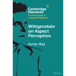 Wittgenstein on Aspect Perception