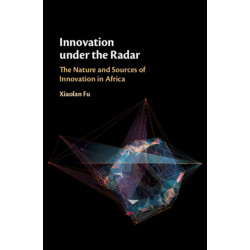 Innovation under the Radar: The Nature and Sources of Innovation in Africa