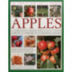 The Complete World Encyclopedia of Apples: A Comprehensive Identification Guide to Over 400 Varieties Accompanied by 95 Scrumptious Recipes