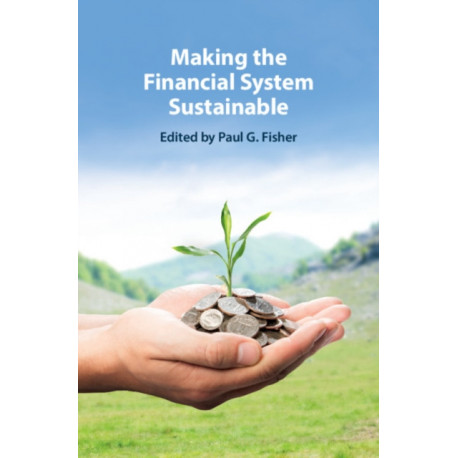 Making the Financial System Sustainable