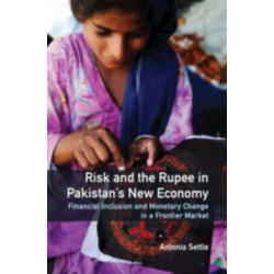 Risk and the Rupee in Pakistan's New Economy: Financial Inclusion and Monetary Change in a Frontier Market
